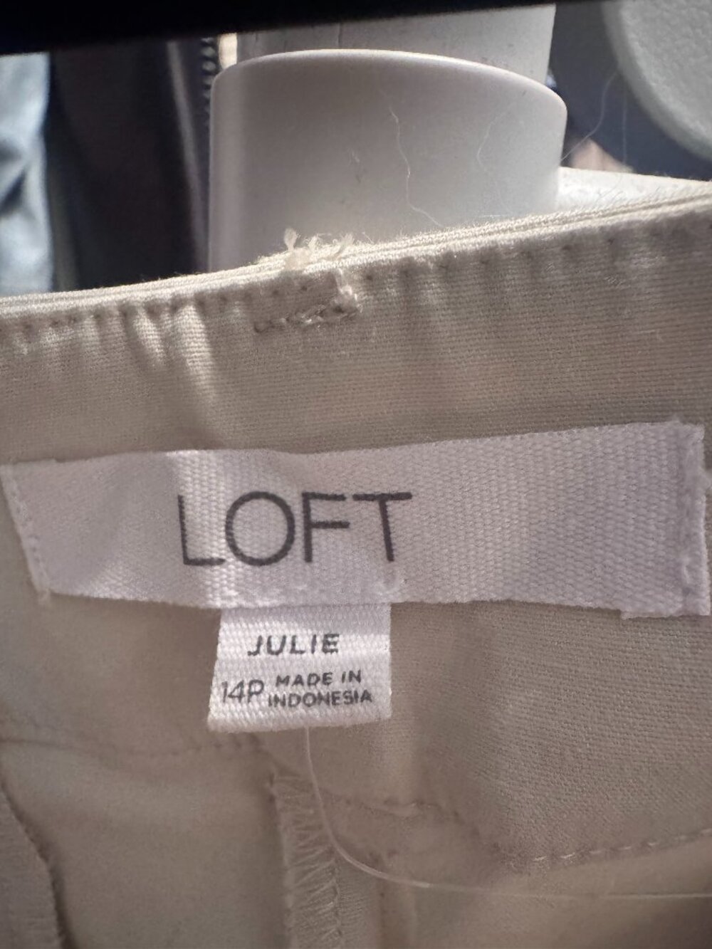 Loft 14 Petite Pants